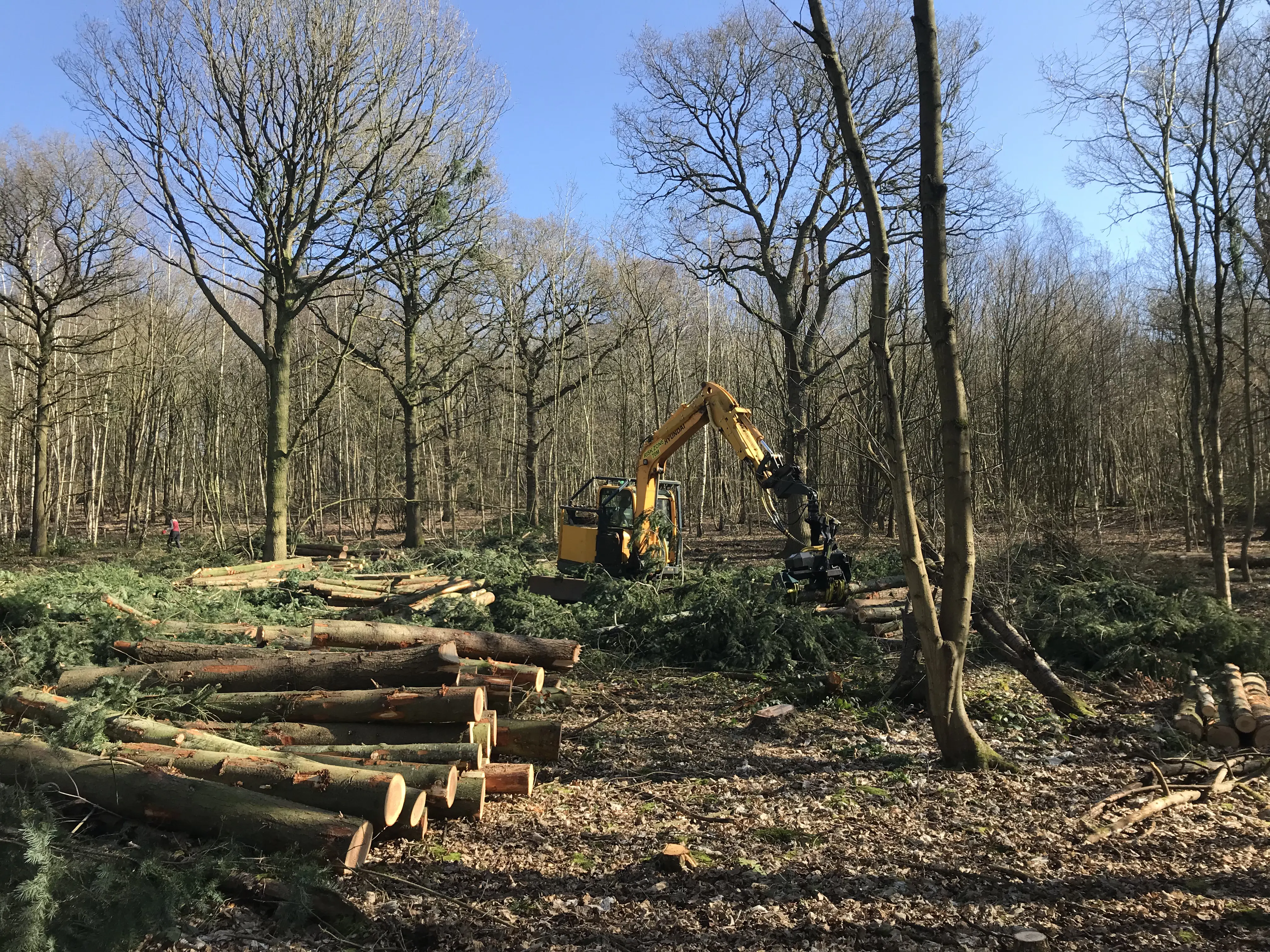 Stump grinding and removals