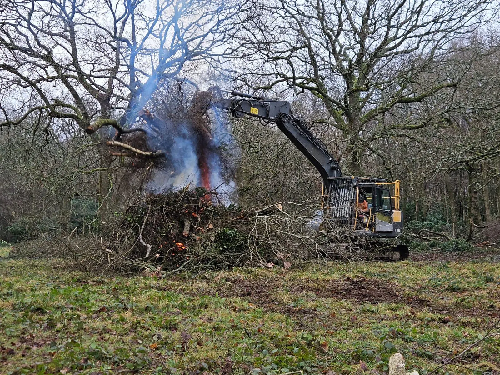 Vegetation Management & Site Clearance service by Indica Forestry