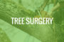 Tree Surgery