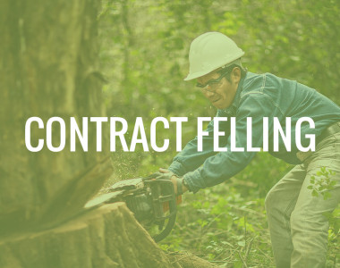 Contract Felling