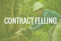 Contract Felling