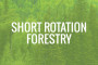 Short Rotation Forestry